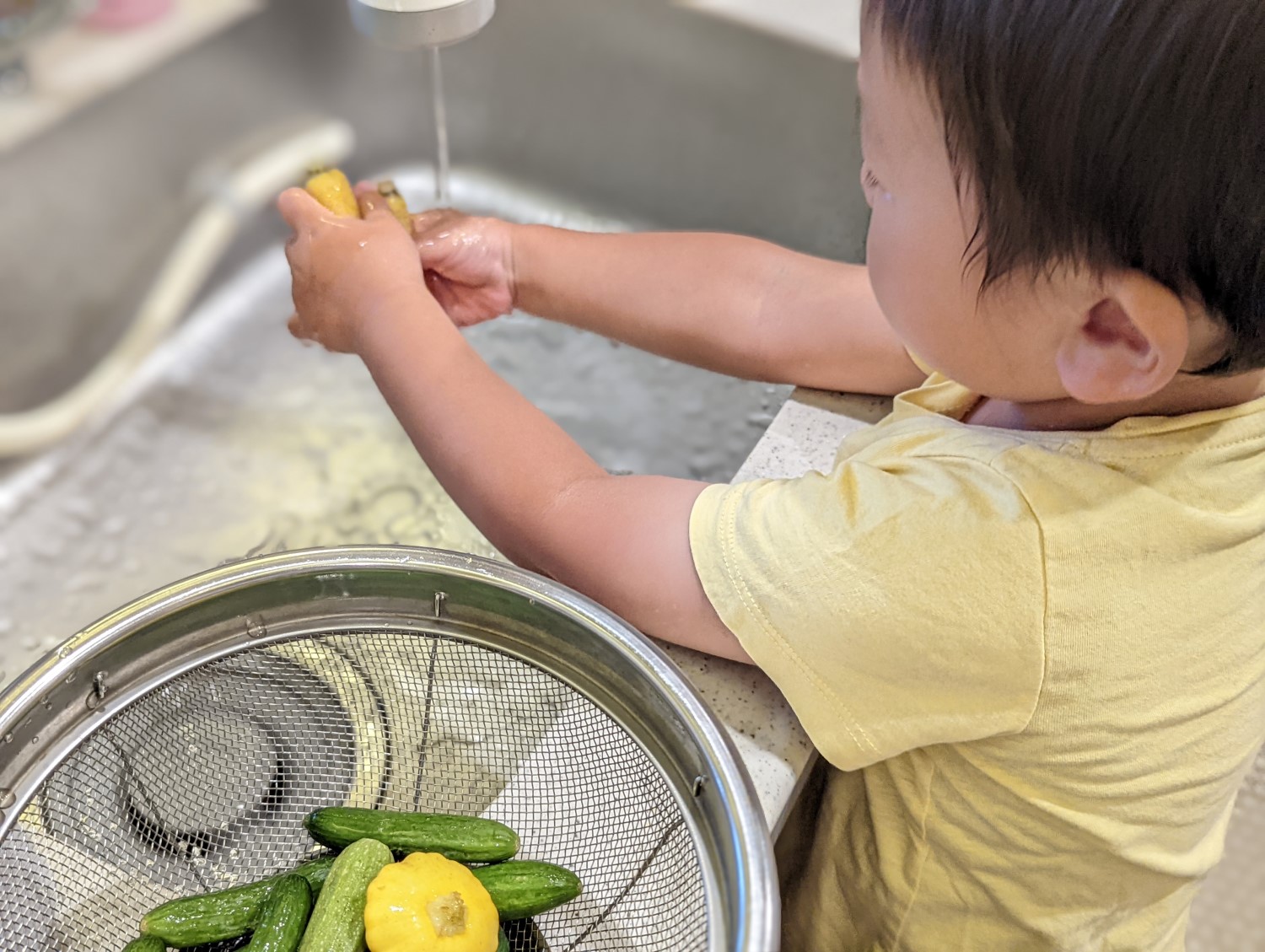 台所で野菜洗いのお手伝いをする子ども
